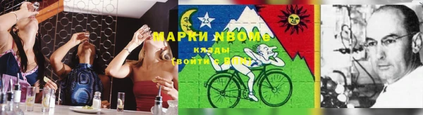 крисы Каменка