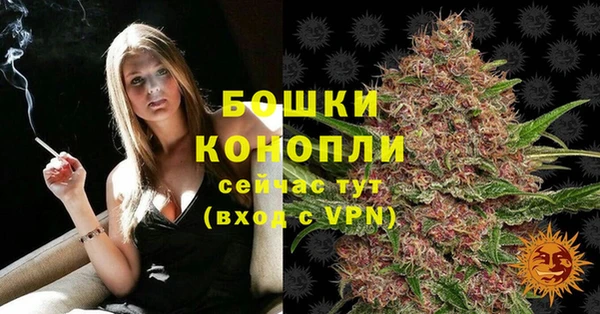 молекула духа Каменногорск