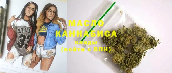 крисы Каменка