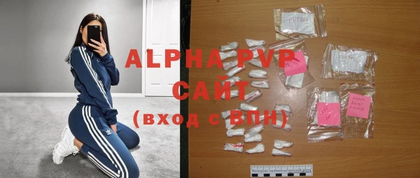 молекула духа Каменногорск