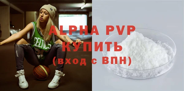 молекула духа Каменногорск