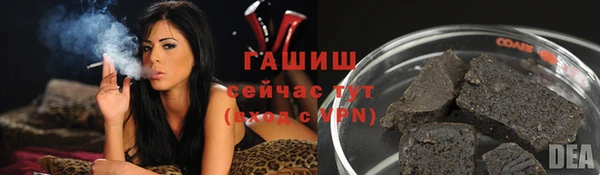 крисы Каменка