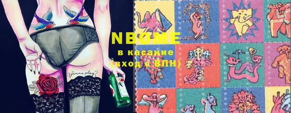 крисы Каменка