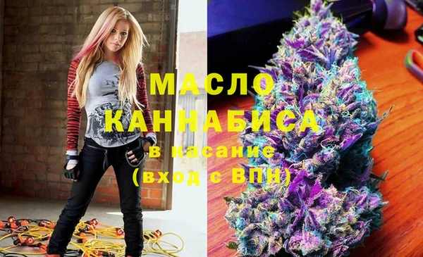 молекула духа Каменногорск