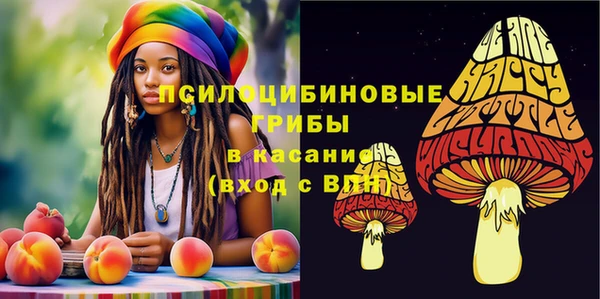 винт Каменск-Шахтинский