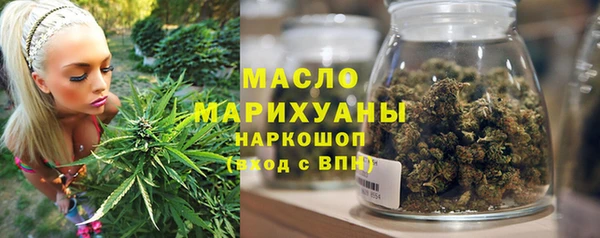 крисы Каменка