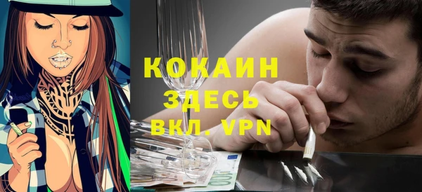 молекула духа Каменногорск