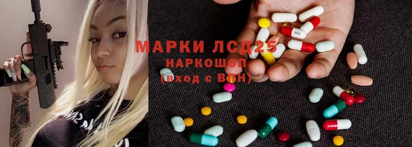 крисы Каменка