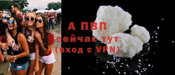 молекула духа Каменногорск