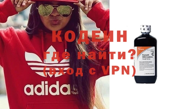 крисы Каменка