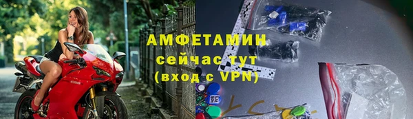 крисы Каменка