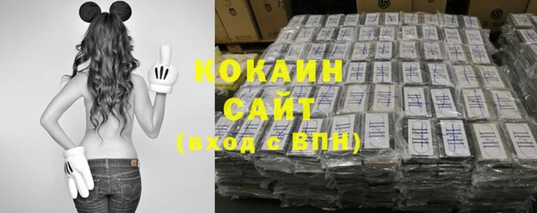 крисы Каменка