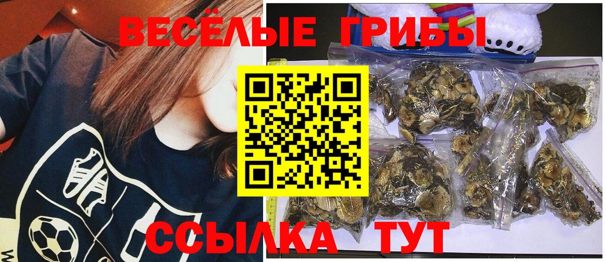 Сыктывкар  Псилоцибиновые грибы Cubensis  Галлюциногенные грибы мицелий  Вход с VPN 