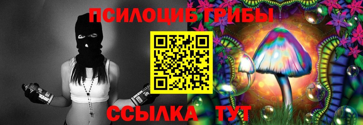 Псилоцибиновые грибы Cubensis Сыктывкар
